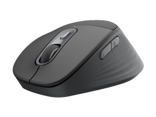 LOGITECH M850 L för Business, grafit