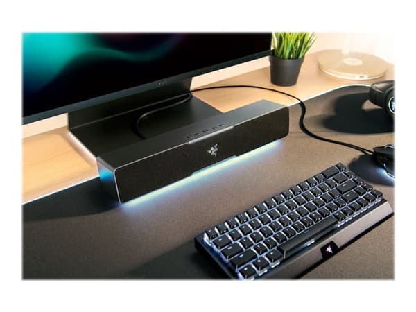 Razer Leviathan V2 X-högtalare