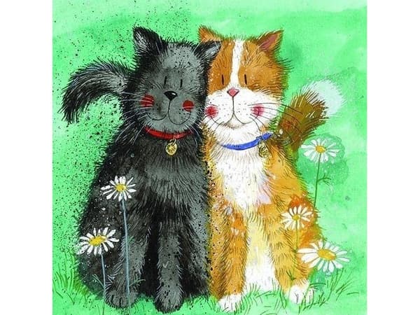 Carnet AC671 katter Toffee and Treacle