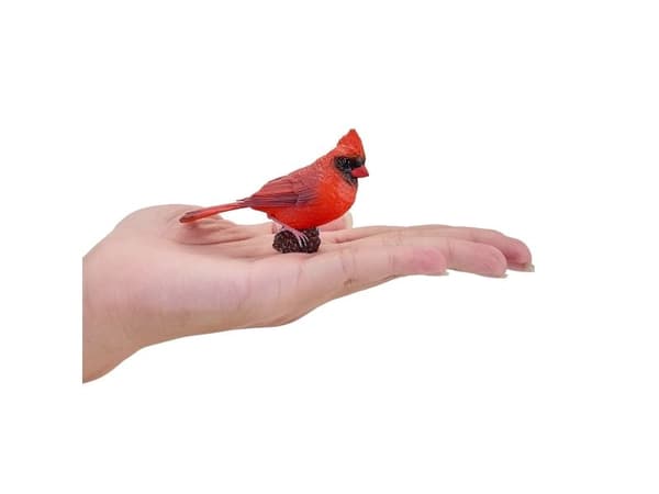 Red Cardinal
