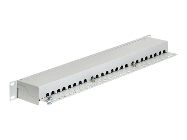 Delock - Patch-panel - CAT 6 - RJ-45 X 24 - ljusgrå - 1U - 19"