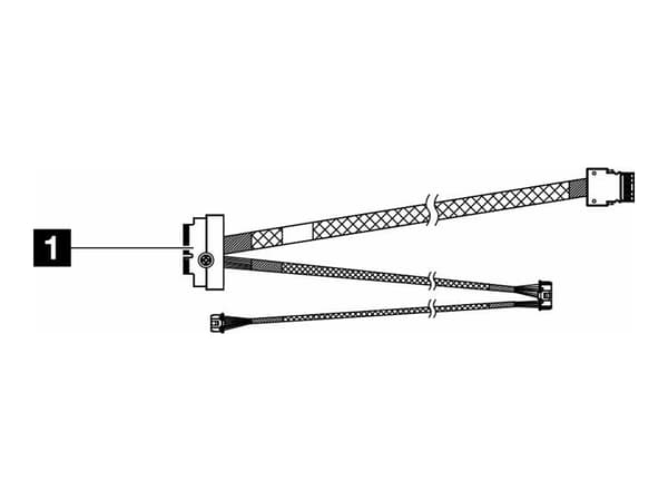 Lenovo - NVMe cable - 33 cm - för M.2 NVMe RAID 2 platser