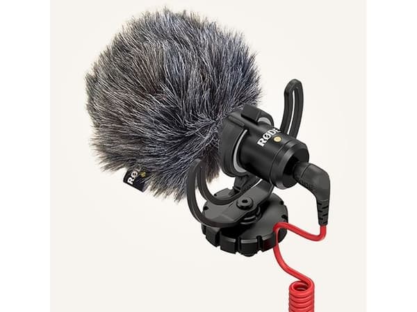 VideoMicro