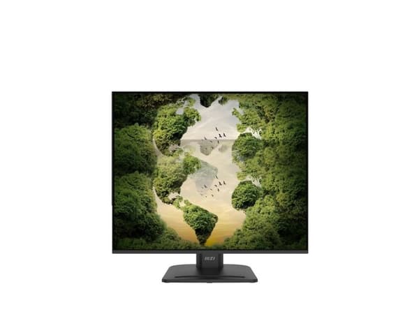 MSI PRO MP245PHGN E14