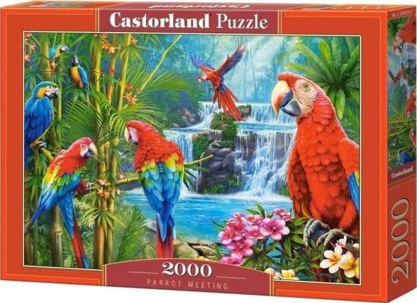 Pussel 2000 Parrot Meeting CASTOR