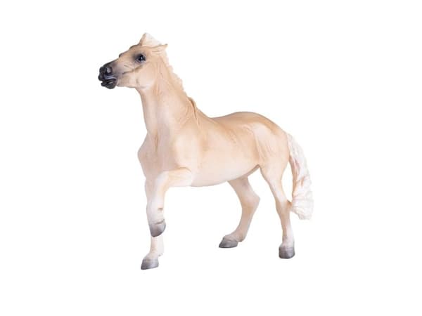 Mojo Brumby hingst