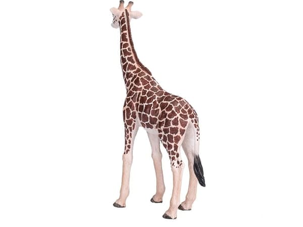 Mojo giraff (hane)