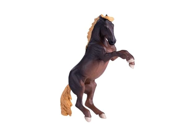 Mojo Brumby tamma