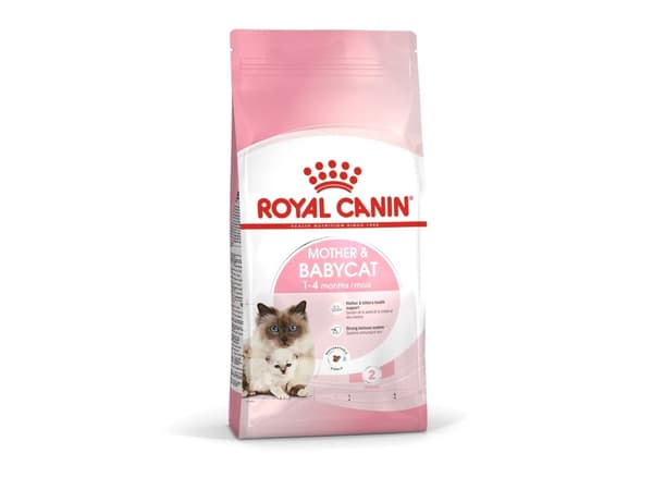Royal Canin Mother & Babycat tørfoder til kat og killing - 10 kg