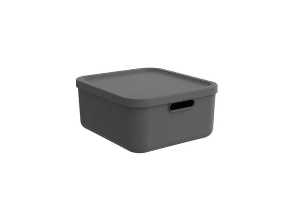 Rotho Box20l Albula Antrasiitti