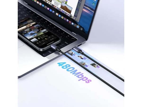 Ugreen USB-C til USB-C-kabel L528 100W 2 m grå