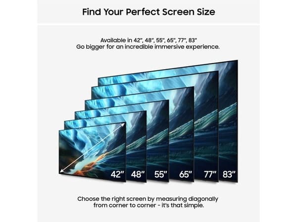 Samsung QE42S93HAEXXN