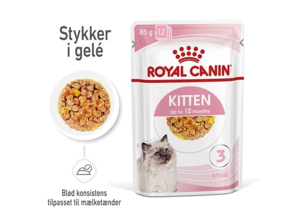 Royal Canin Kitten Jelly våtfoder för kattungar – 12 x 85 g