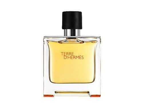 Hermès Terre D'Hermès Parfum 75 ml (man)