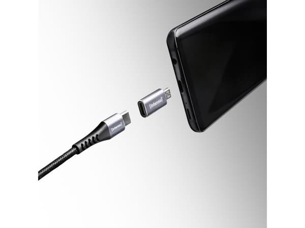 Intenso 7600213, USB-C, microUSB, Antrasitt