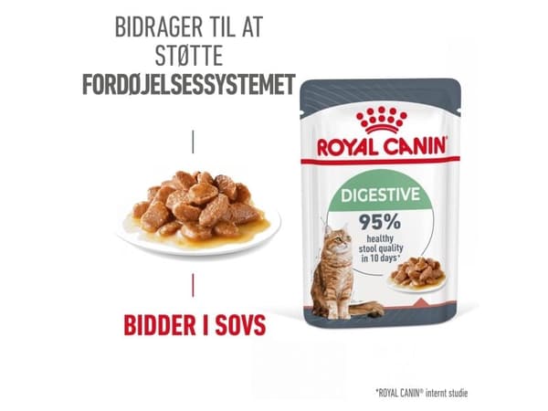 Royal Canin Digest Sensitive Care, Aikuinen, 85 g