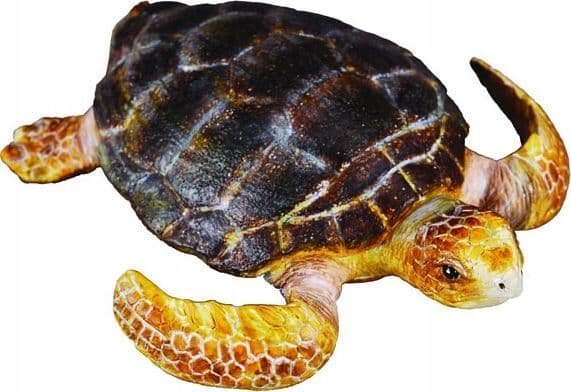 Sköldpaddsvagn (M)