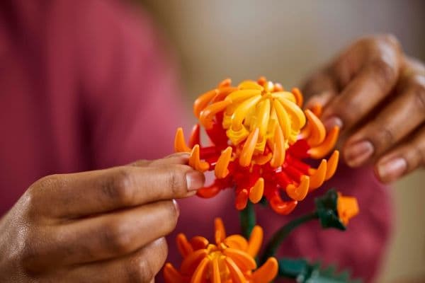 LEGO Botanicals 10368 Krysanteemi