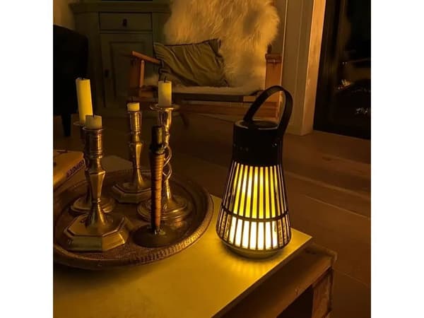 SOUNDLIVING Flame högtalare