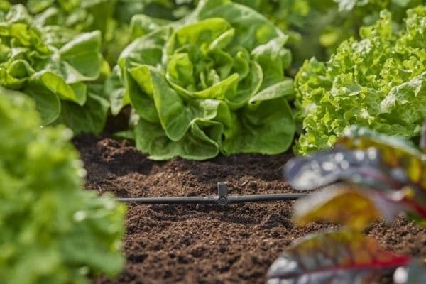 GARDENA MICRODRIP T-STYKKE 3/16"