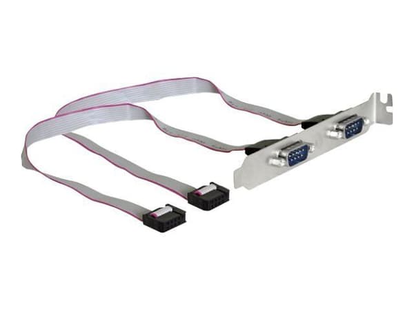 Delock Slotbracket > 2x serial - Serielt panel - 9-pins serieheader (hunn) til DB-9 (hann) - 27 cm