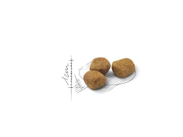 Royal Canin Indoor 7+ Ageing tørfoder til kat - 1.5 kg