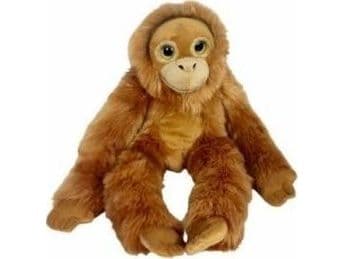 Orangutangens stora ögon 50 cm