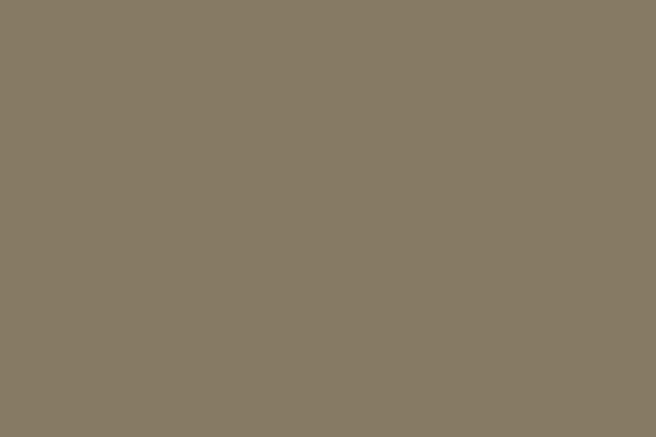 Vallejo Model Color 70.765 Desert Tan (18 ml)