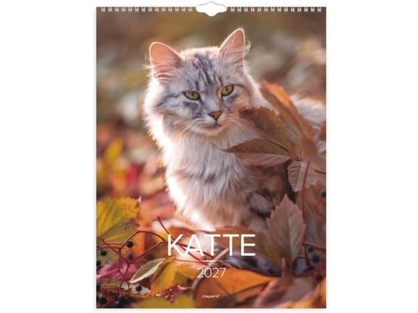 Väggkalender Katter 2027