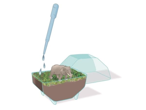 Clementoni Mini-terrarium – Elefant