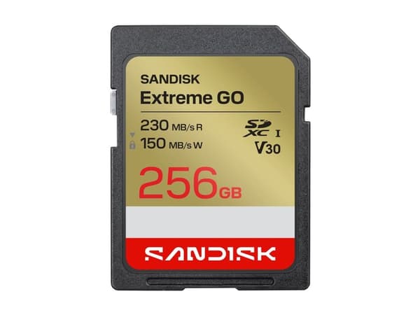 SANDISK SD Extreme GO 256GB