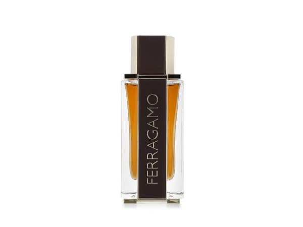 Ferragamo Spicy Leather Eau de Parfum 100 ml (herr)