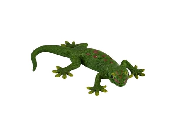Mojo Gekko