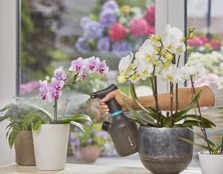 Gardena PUMPESPRØYTE 1L EasyPump BATTERI