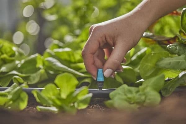GARDENA MICRODRIP-SPRAYHUVUD FÖR SMÅ OMRÅDEN