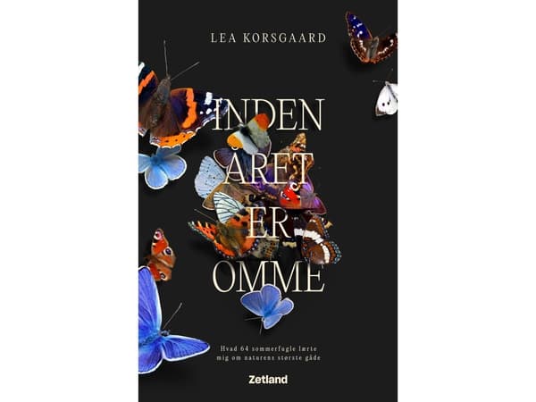 Innan året är omme | Lea Korsgaard | Språk: Danska