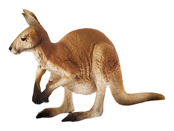 Schleich Kangaroo