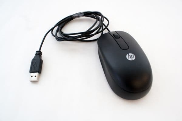 HP USB Optical Scroll Mouse, Molempikätinen, Optinen, USB A-tyyppi, 800 DPI, Musta
