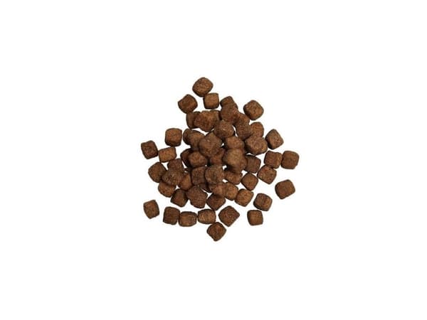 Harmony Senior spannmålsfritt hundfoder 3kg