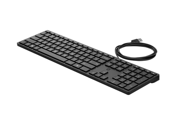 Wired Desktop 320K Keyboard  Arabic