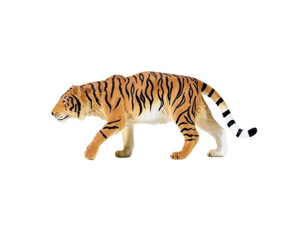 Tiger Hunting