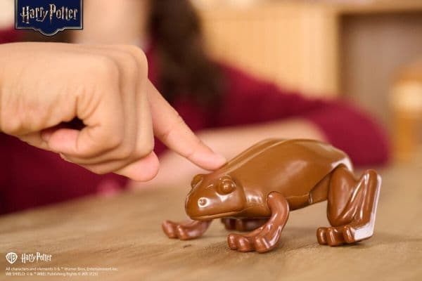 Harry Potter Chocolate Frog