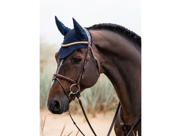 JACSON Dublin huppu navy Full