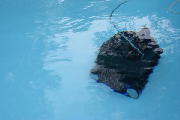Pool Robot Scooby