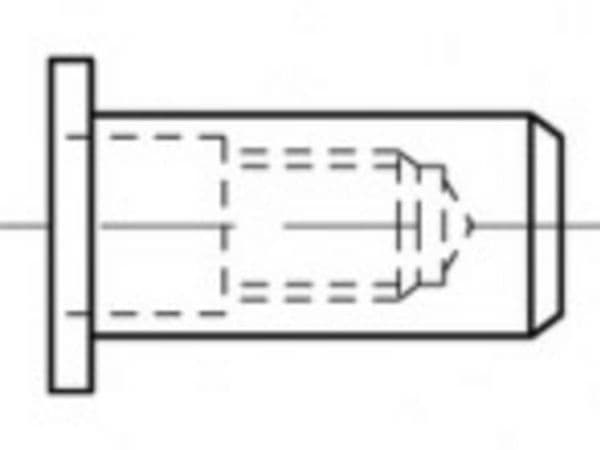 TOOLCRAFT TO-5444289 blindnaglemutter M6 stål 500 stk.