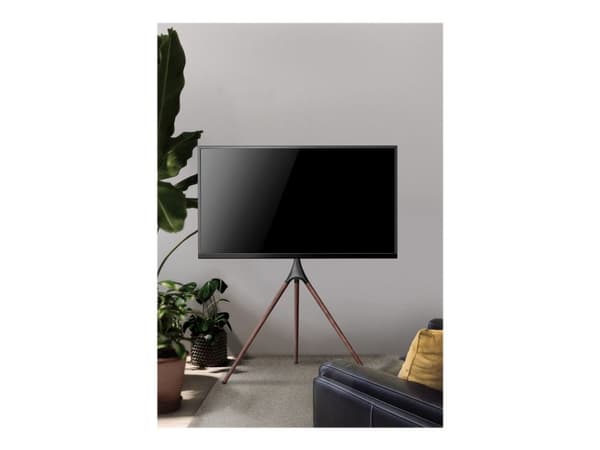 TECHly - Ställ - stativ - för platt panel - mörk valnöt - skärmstorlek: 45"-65" - golvstående