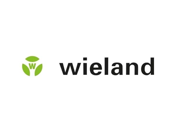 Wieland Electric 04.845.0153.0 Inskriptionslist Vit 25 st