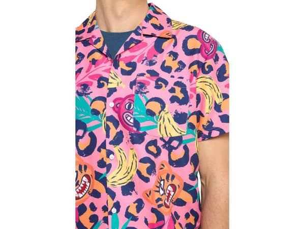 Jazzy Jungle kesäsarja