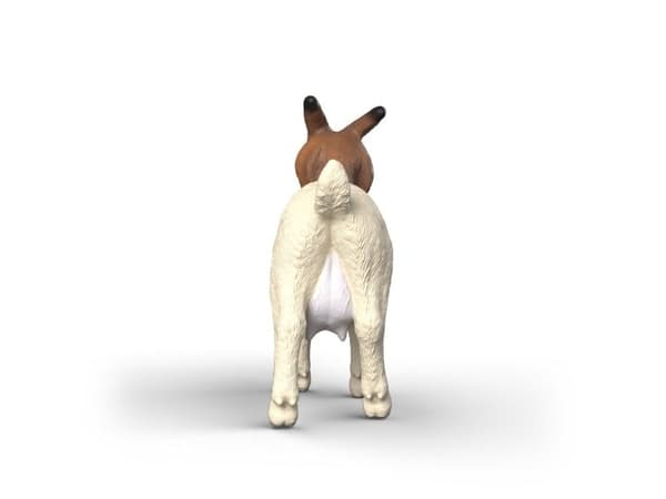 Schleich geitebukk