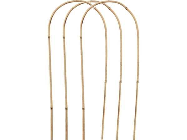 BAMBU KASVI TUKI 3KPL PROGARDEN
